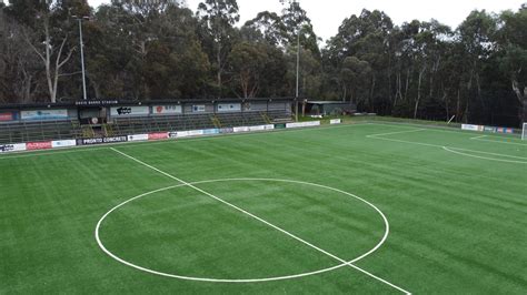 bulleen lions fc results